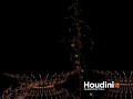 view Heart Houdini