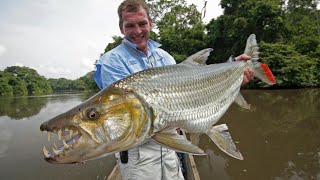 Some Interesting Facts about fish | General Knowledge | Facts Knowledge | Fact | Facts Class.