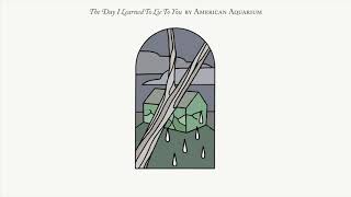 Watch American Aquarium The Day I Learned To Lie To You video