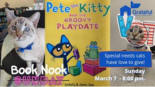 Special needs cats need homes too!