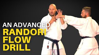 Advanced Randori Flow Drill for Goju Ryu