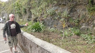 RAILWAY STATION GARDENS CLEARANCE AND REPLANTING