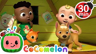 Cat & Dog, Opposite Song | Cocomelon - Cody Time | Kids Cartoons & Nursery Rhymes | Moonbug Kids