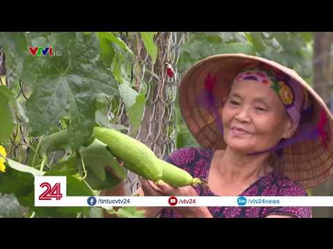 Hàng rào nhà mà cũng có thể "hái" ra tiền | VTV24