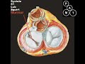 Animated Mitral Regurgitation Murmur