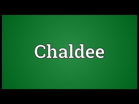 Header of Chaldee