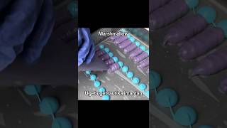 Marshmallow Uget Uget Laut Kalimantan