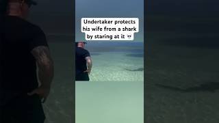 Shark Didnt Wanna Go 1-On-1 With The Undertaker Via Mimicalacoolig