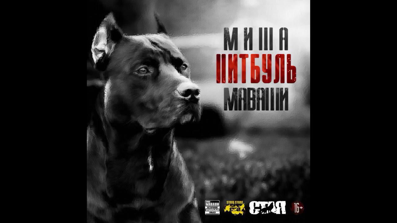 Миша маваши новый альбом 2018 когда Миша маваши новый альбом 2018 когда