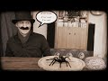fear of spiders