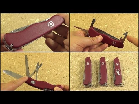 forex swiss army knife