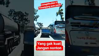 Harus Banyakin Berdoa Sensasi Ngeblong Bus Sugeng Rahayu Lumba Lumba Darat