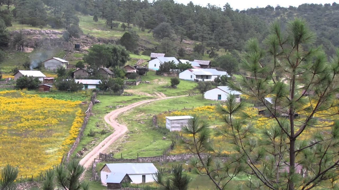 Fotos de la sierra de tepehuanes durango Fotos de la sierra de tepehuanes durango