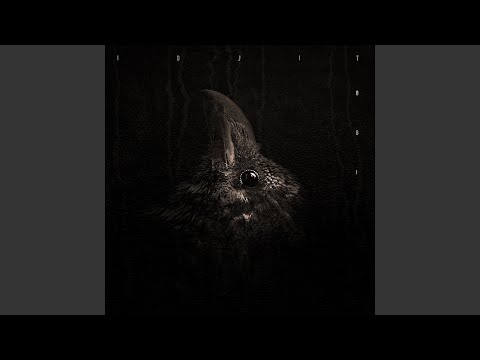 Chains Video