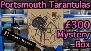 Portsmouth Tarantulas £300 Mystery Box