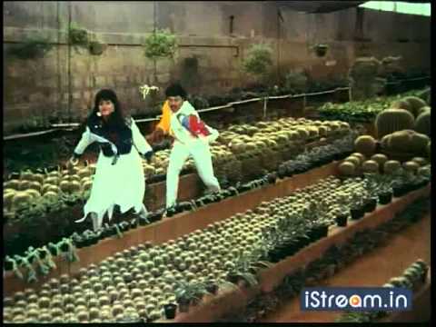 Aththaku Yamudu Ammayiki Mogudu: Tingu ranga... song!