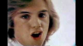 Watch Shaun Cassidy Hey Deanie video