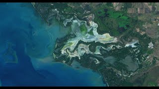 Ammi Automatic Mangrove Map And Index An Ytical Study On Satellite Imageries At Aru Islands