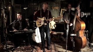 Goldfever The Mighty Bosscats