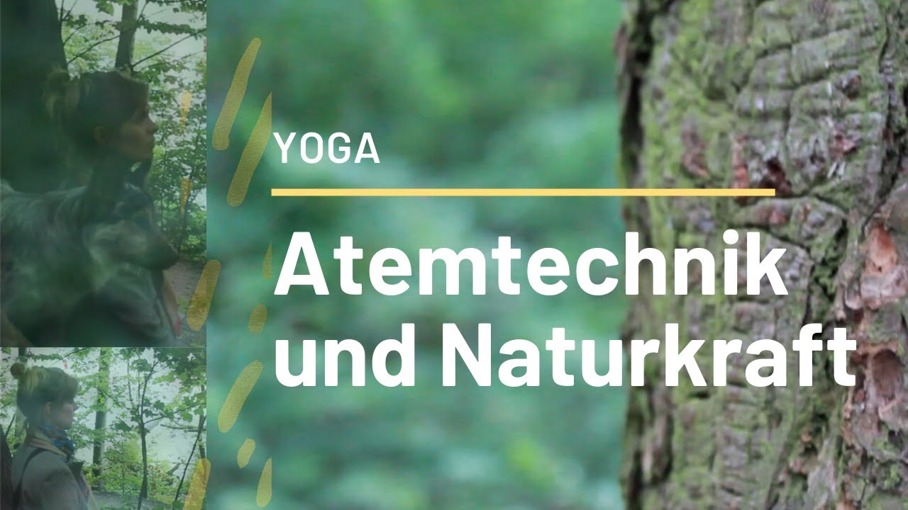Yoga für Anfänger | Atemtechnik zur Entspannung | Naturkraft tanken | 15 Min.