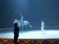 ringling