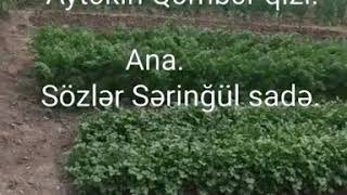 Saz-Söz Müsi̇qi̇si̇ Aytəki̇n Qəmbərqizi Söz Səri̇ngül Sadə. Ana