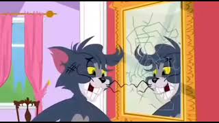 Tom & Jerry Domestic Kingdom
