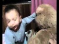 Enzo x Urso.