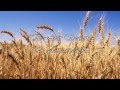 (HD 720p) The Four Seasons ( Autumn), Antonio Vivaldi