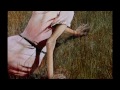 When We Stand Together Video preview