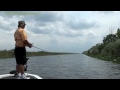 Great Bass Fishing Action - Florida Everglades Bass Fishing Guide John Pate 6-8-11