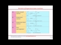Basic behind Organic Name & important Reactions by Ajnish Kumar Gupta (AKG) Basic behind Organic Name & important Reactions by Ajnish Kumar Gupta (AKG)