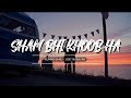 Sham Bhi Khoob Ha | Old Song | Kumar Sanu - Udit Narayan [ Slowed-Reverb ]