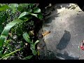 Mengintai Anak Orang images Mengintai Anak Orang