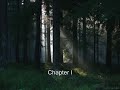 Intro Video preview