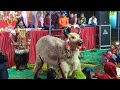देवी जागरण की वीडियो जिसमें नन्हे ने किया जबरदस्त डांस एक बार देखो मजा आ गया