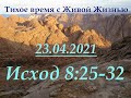 Исход 8:25–32 (23.04.2021)