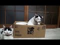 すし太郎の箱