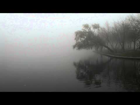 The Noise Of Depression Video