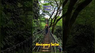Hanging Bridge At Hinulugang Taktak Antipolo City