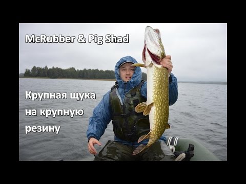 noegne piger billeder щука №33496 noegne piger billeder щука № 33495