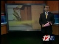 Driver in Car Crash Into House Faces Charges