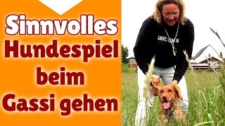 ?? Hundespiele ? Sinnvolle Hunde Spiele beim Gassi gehen - Stephanie Salostowitz ??