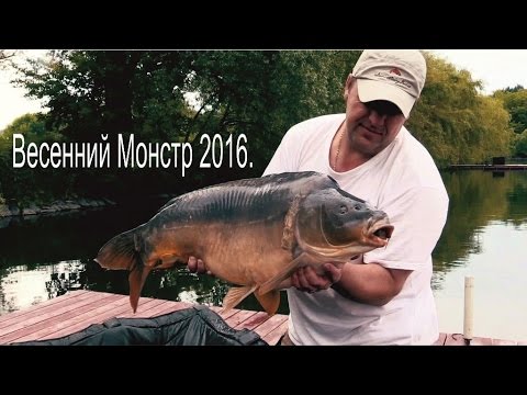 весенняя ловля карпа и амура весенняя ловля карпа и амура