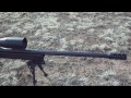 .338 lapua rifles