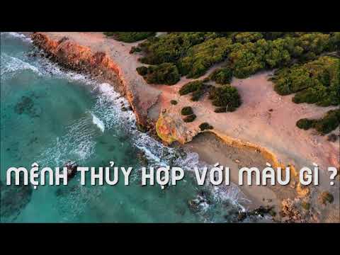 Người Mệnh Thủy Hợp Với Màu Gì ?