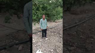 Ali Başkanın Vizyon Tele Ğ Tarifi