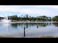 Flamingo Lake RV Resort - Spring Break - Jacksonville Fl