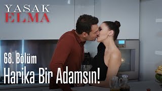 Ender Aşka Geldi - Yasak Elma 68. Bölüm