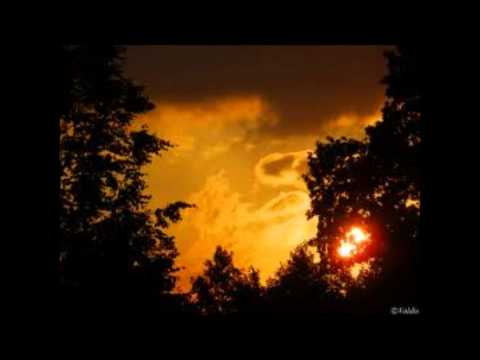 Peteris Butans - There flows a never-ending stream of light (Lux Aeterna)